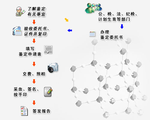 做亲子鉴定需要什么手续？ 